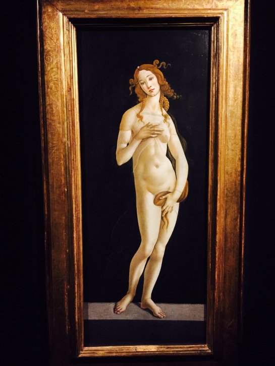 imagen-no-8_boticelli